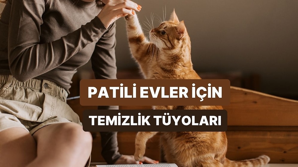 Evde Evcil Hayvan Varsa Dikkat Etmen Gereken 10 Temizlik Önerisi