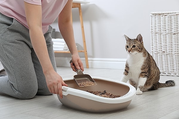 5. Kedi kumu kabı, temizlik rutininin olmazsa olmazı.