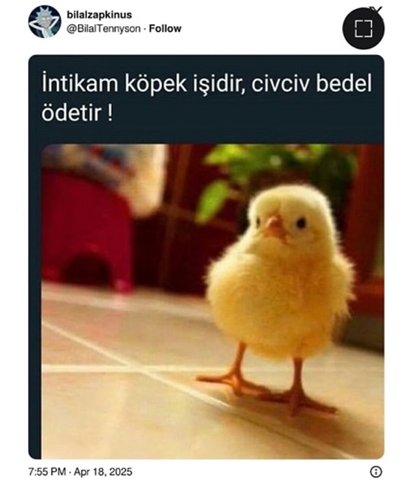 Alp Cengiz