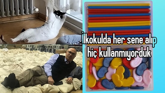 Mahmut Tanal Kediden Anlamsız Okul Eşyalarına Son 24 Saatin Viral Tweetleri