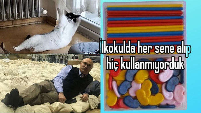 Mahmut Tanal Kediden Anlamsız Okul Eşyalarına Son 24 Saatin Viral Tweetleri