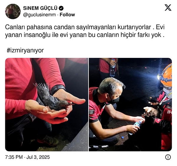 "Farkı yok..." 👇