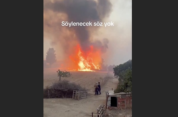 Bir vatandaş, yanan ceviz ağacını kurtarmak istedi.