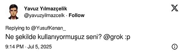Bir kullanıcı da Grok'a, Türklerin kendisini nasıl kullandığını yorumlattı.