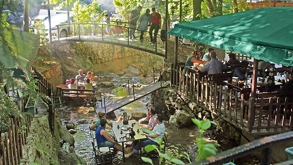 15. Akasya Alabalık