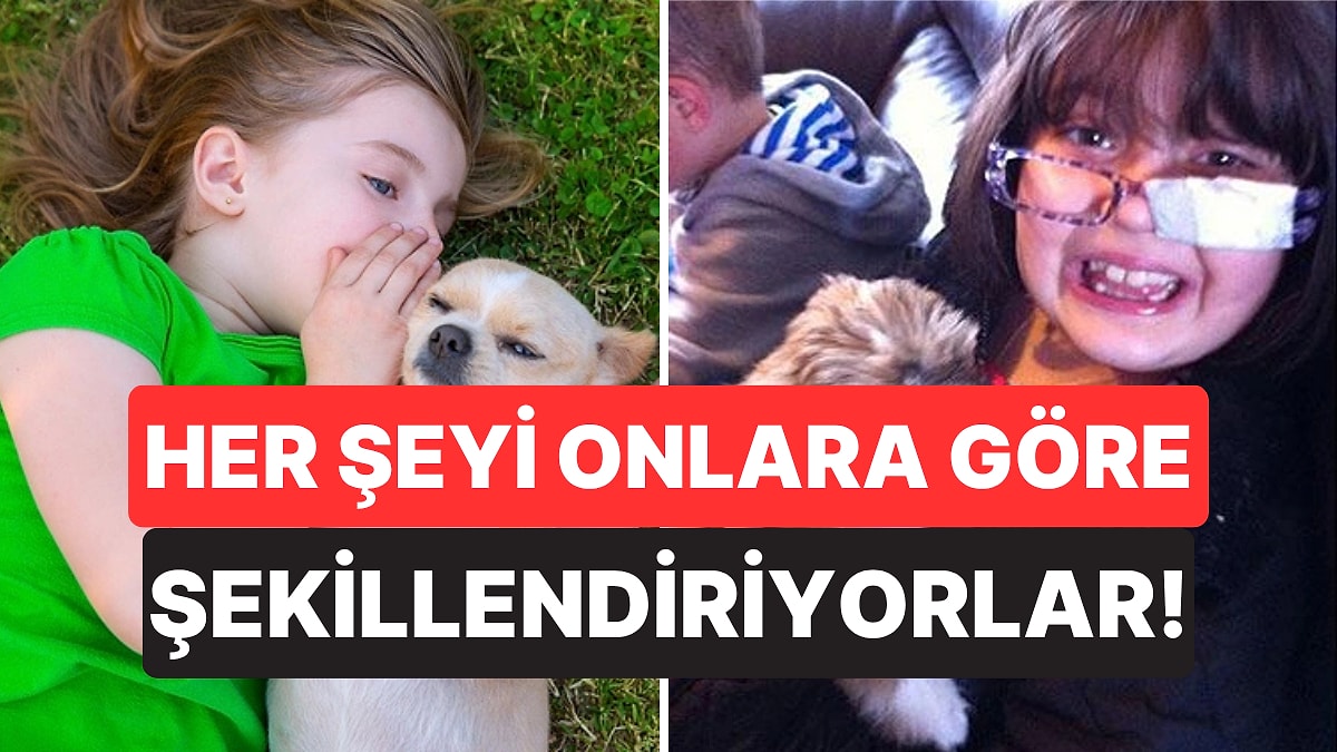 Çocuk Sahibi Olmayan Köpek Sahiplerinin Büyük Çoğunluğu Hayatlarını Evcil Hayvanlarına Göre Şekillendiriyor