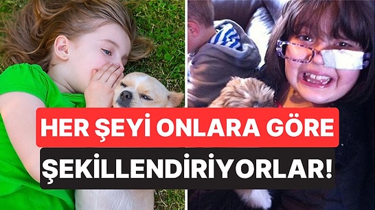 Çocuk Sahibi Olmayan Köpek Sahiplerinin Büyük Çoğunluğu Hayatlarını Evcil Hayvanlarına Göre Şekillendiriyor