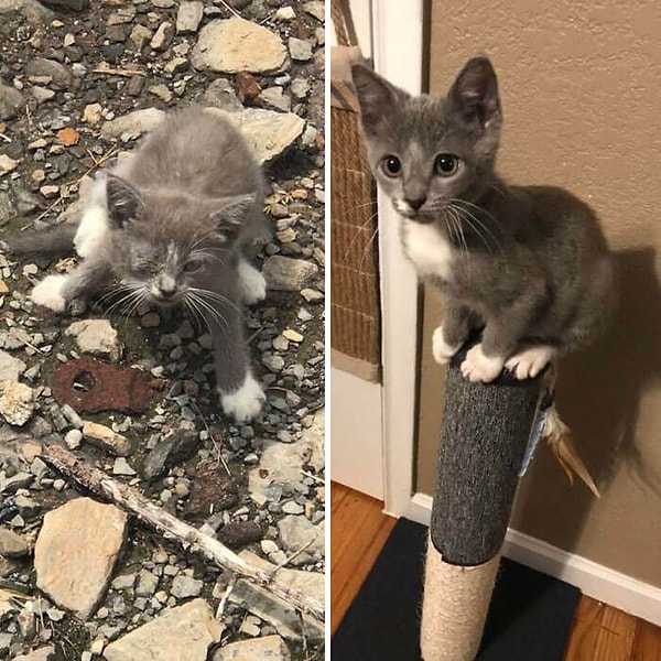 7. Şimdiden böyleyse ilerisini hiç düşünemiyoruz! 😻
