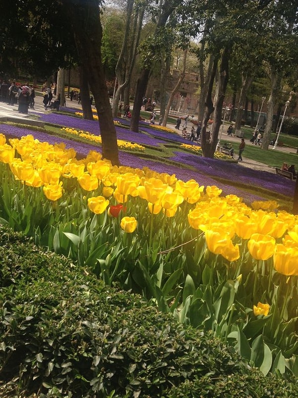 Zeynep Aybike GÜLŞEN