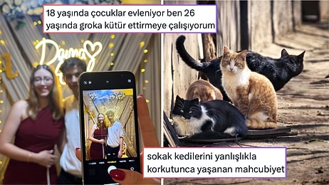 Son Yılların En Sıkıcı Yazından Kedilere Karşı Yaşanan Mahcubiyete Son 24 Saatin Viral Tweetleri