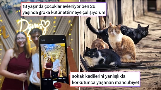 Son Yılların En Sıkıcı Yazından Kedilere Karşı Yaşanan Mahcubiyete Son 24 Saatin Viral Tweetleri