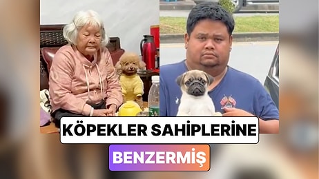 Köpek Sahipleri Paylaştıkları Videolarla "Köpekler Sahiplerine Benzer" Teorisini Doğruladı