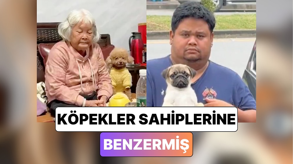 Köpek Sahipleri Paylaştıkları Videolarla "Köpekler Sahiplerine Benzer" Teorisini Doğruladı