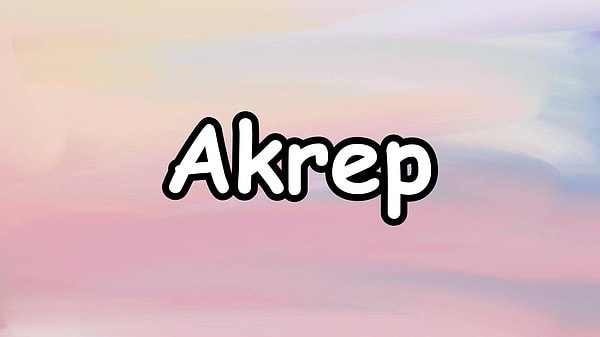 Senin asla birlikte olamayacağın burç;👇