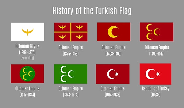 From Primitive Banners to the Official Flag