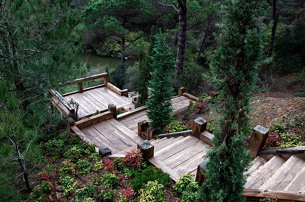 Detailed Information About Atatürk Urban Forest