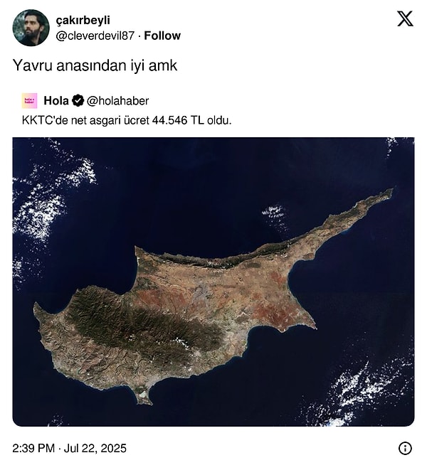 👇