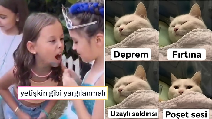 Kedilerin Rafine Zevklerinden Eczacıların Yarattığı Gereksiz Gerilime Son 24 Saatin Viral Tweetleri