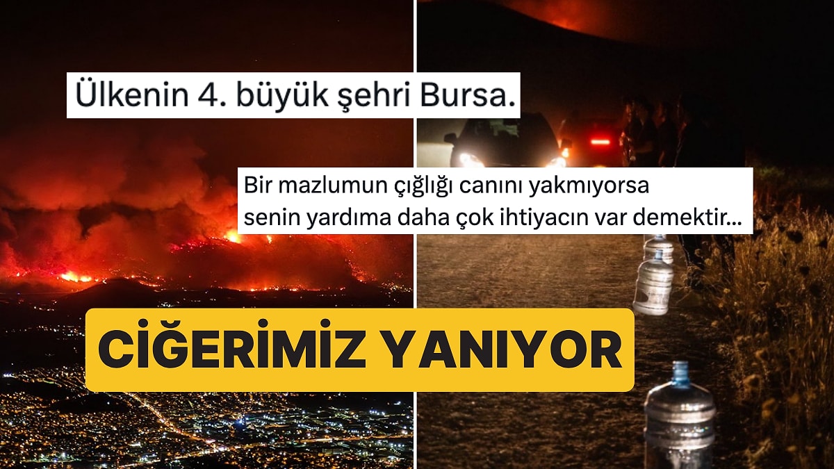 Ciğeri Yanan Vatandaşlarımızdan Günlerdir Süren Yangınlara Tepkiler Dinmiyor