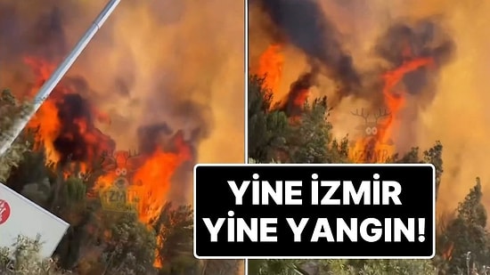 Yine İzmir Yine Yangın: Bornova'da Orman Yangını Çıktı, Çevre Yolu Trafiğe Kapatıldı