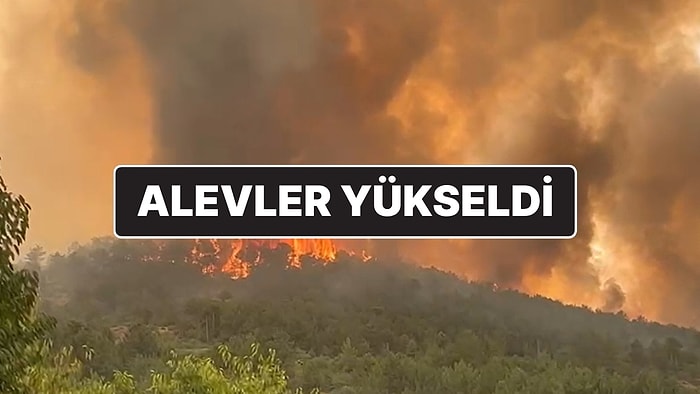 Bursa’daki Orman Yangını: Alevler Yerleşim Yerlerine Bir Kez Daha Yaklaştı