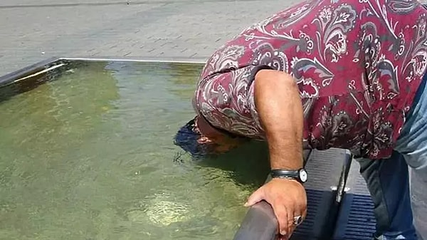 Temmuz ayı aşağı yukarı bu şekilde geçti.