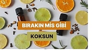 Evinizi Misler Gibi Kokutmanın Bilimsel Yolları