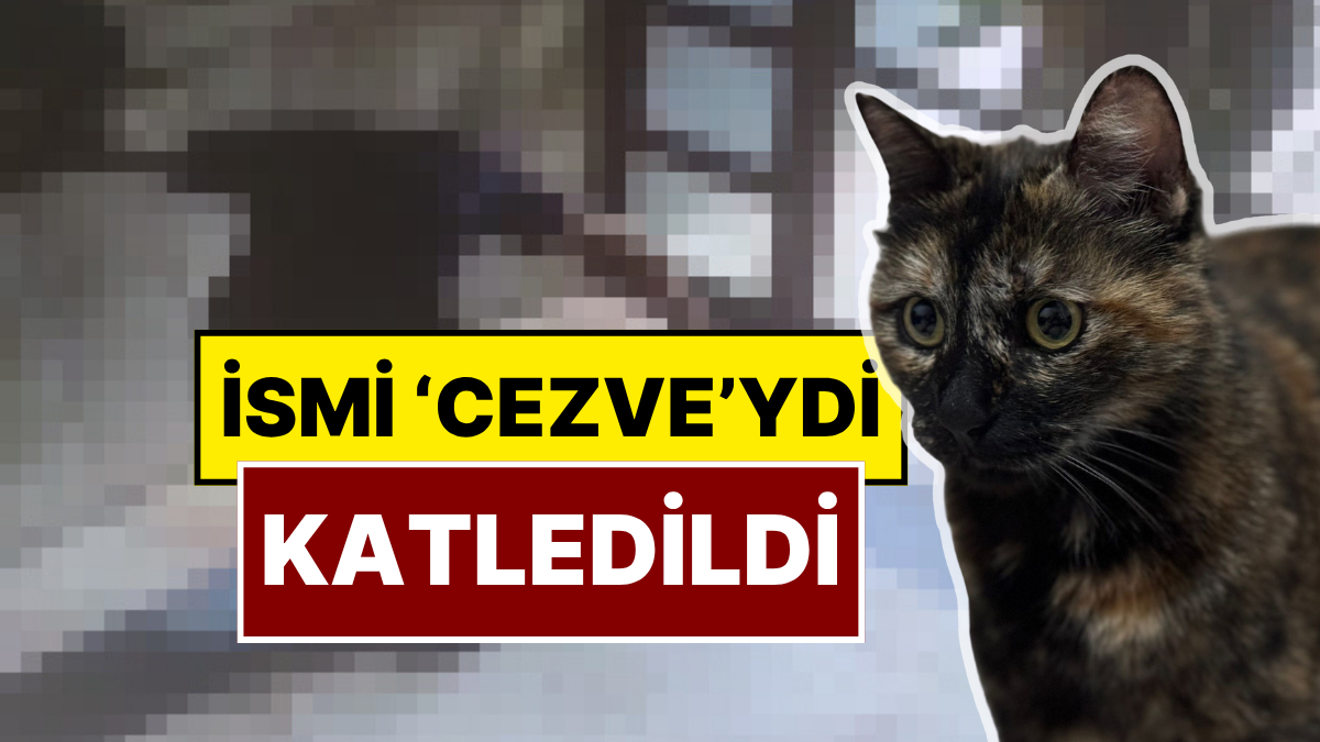 onedio.com