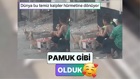 Gaziantep'te Sokaktaki Çocuklara Döner Ismarlayan Vatandaş Yemeklerini Kedilerle Paylaştıklarını Fark Etti