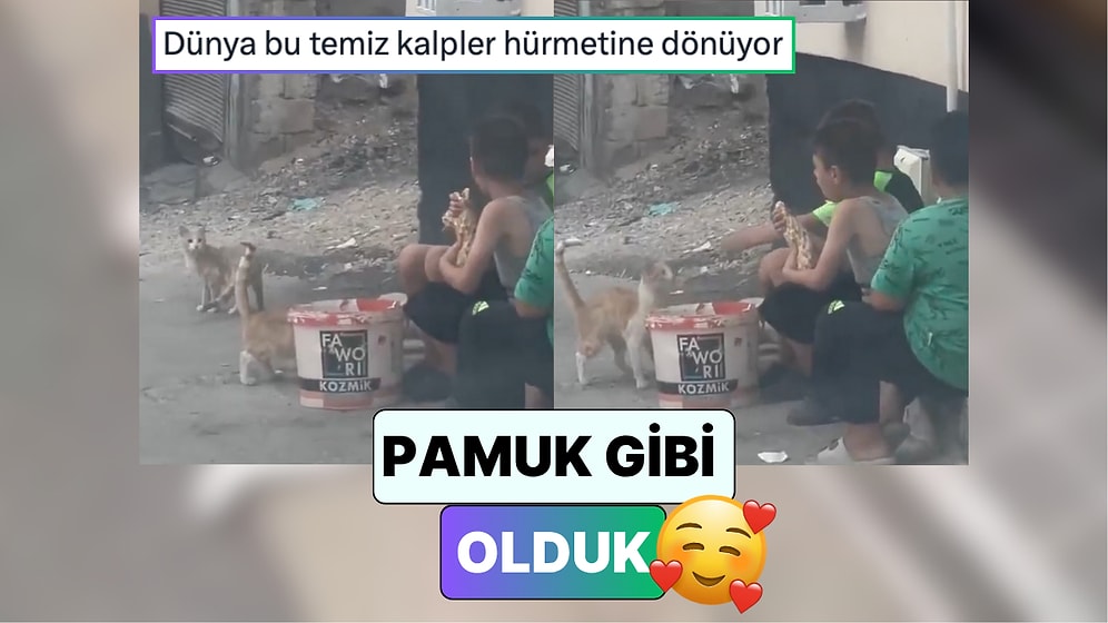 Gaziantep'te Sokaktaki Çocuklara Döner Ismarlayan Vatandaş Yemeklerini Kedilerle Paylaştıklarını Fark Etti