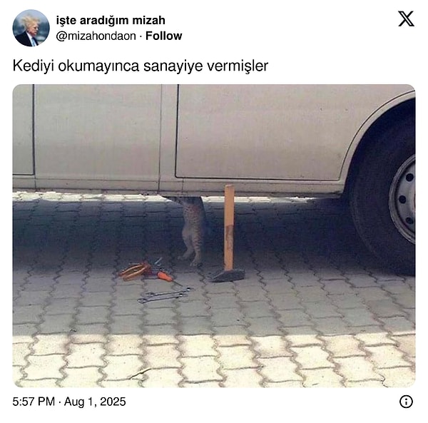 Çalışsın sıpa.