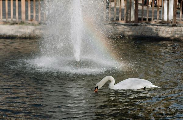 4. Take a Breath of Fresh Air at Kuğulu Park