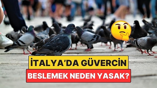 İtalya Sokaklarında Güvercin Beslemek Neden Yasak?