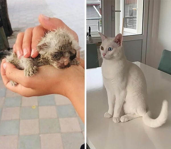 9. Hayata tutunmak sözünün vücut bulmuş hali 😻