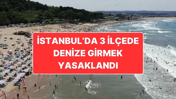 Orman Yangınları İçin Büyük Tehlike: Meteoroloji’den Marmara ve Ege İçin Fırtına Uyarısı