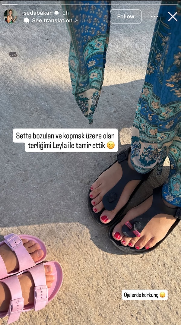 Seda Bakan