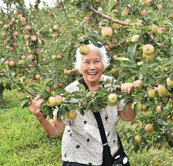 Luisa Yu kimdir ve yolculuğu nasıl başladı?