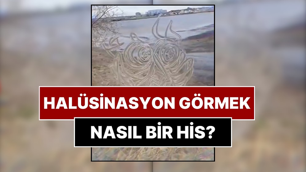 Şizofreni Hastasının Yarattığı Simülatör Halüsinasyonların Nasıl Bir His Olduğunu Gözler Önüne Serdi!