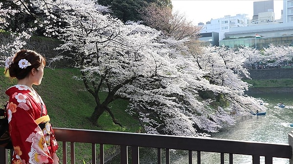 Türk gezginler 2025'te Japonya'nın yolunu tuttu.