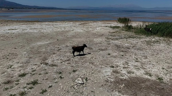 “Beyşehir Gölü vefat etti, Türkiye’nin başı sağolsun”