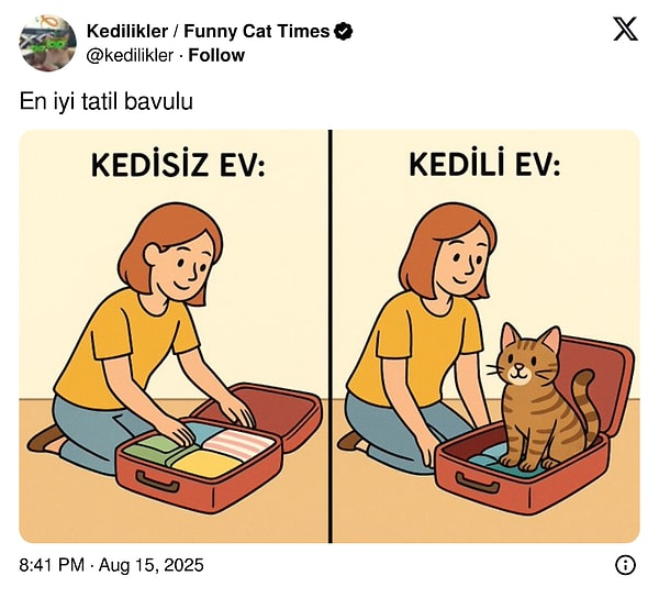 Yapılan ilk paylaşım, kedili evlerin durumunu özetler nitelikteydi.