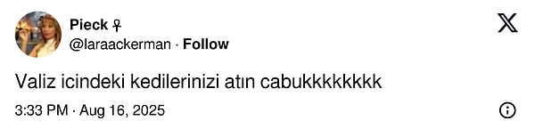 Ardından Twitter Kedi Dostları Topluluğu'nda bu paylaşım yapıldı ve böylece tatlı mı tatlı fotoğraflar gelmeye başladı.