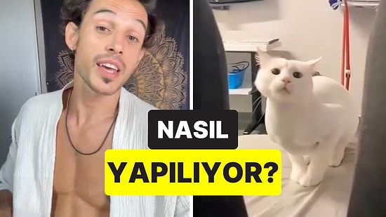 Bir İçerik Üreticisi, Kedi Köpek Bakıcılarının Nasıl Dünya Turu Yaptığını Anlattı