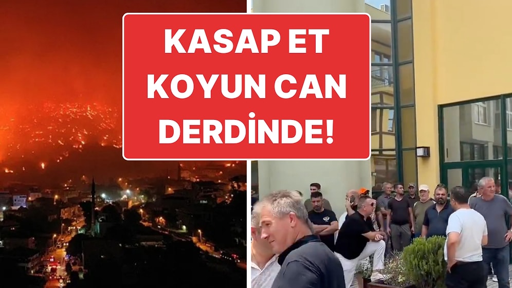 Orman Yangını Sonrası Av Yasağı Gelmişti: Avcılar Yasağın Kalkması İçin Eylem Yaptı