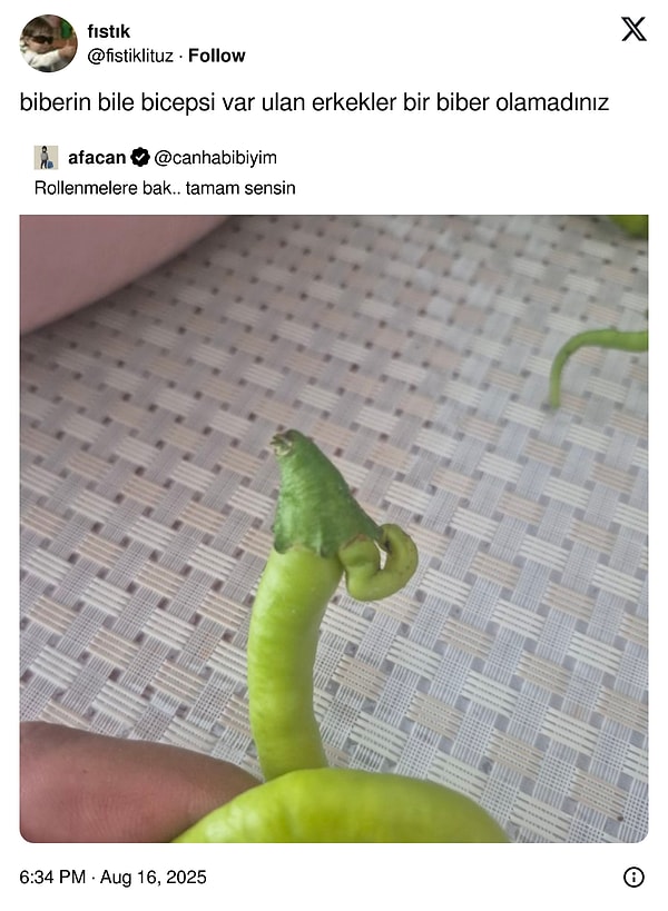 👇🏻