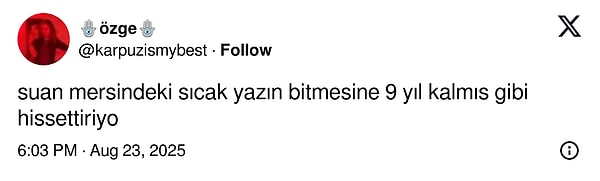 👇🏻