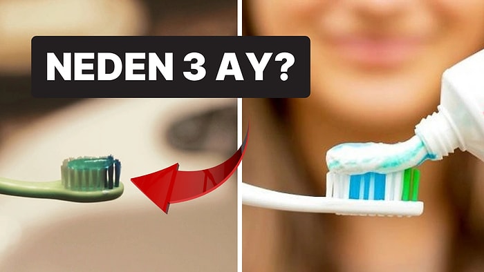 Diş Hekimi Açıkladı: Diş Fırçalarını Neden 3 Ayda Bir Değiştirmeliyiz?