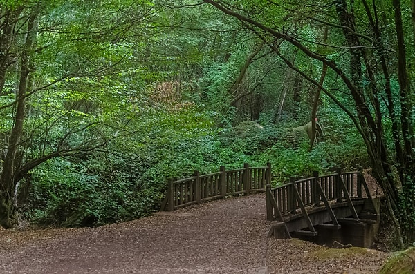 Polonezköy Nature Park – Beykoz