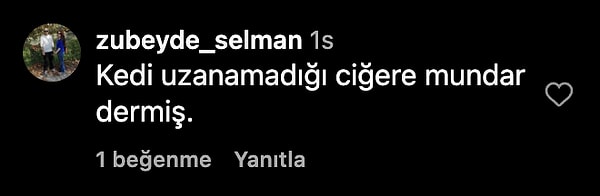 👇