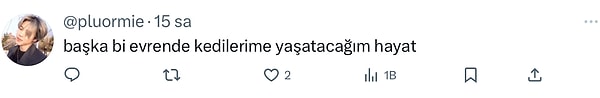 👇